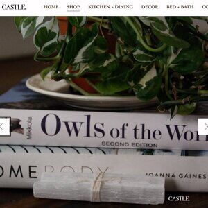 CASTLE. Selenite Crystal Bundle Set of 3